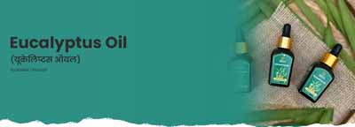 Eucalyptus Globulous Oil